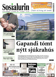 Síða 1