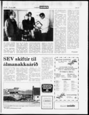 Síða 13