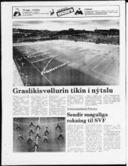 Síða 20