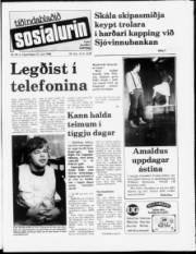 Síða 1