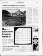 Síða 3