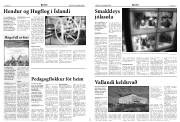 Síða 5