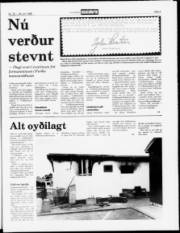 Síða 5