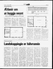 Síða 11