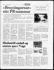 Síða 5