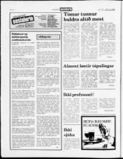 Síða 6