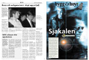 Síða 8
