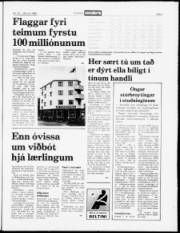 Síða 5