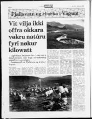 Síða 14