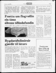 Síða 3