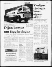 Síða 5