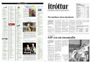 Síða 12