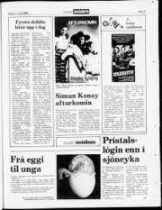 Síða 19