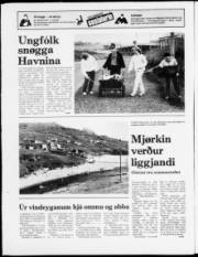 Síða 20