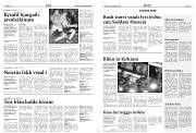 Síða 13