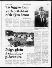 Síða 7