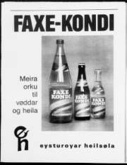 Síða 10