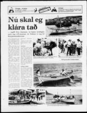 Síða 16