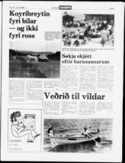 Síða 3