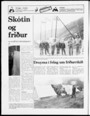 Síða 16