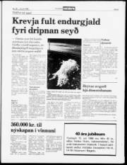 Síða 5