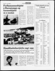 Síða 7