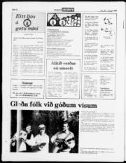 Síða 18