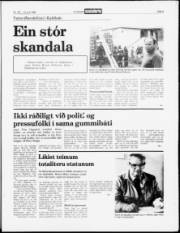 Síða 3