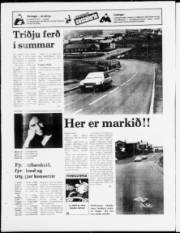Síða 12