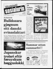 Síða 1