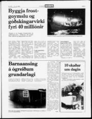 Síða 3