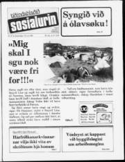 Síða 1