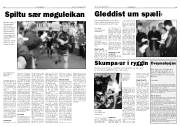 Síða 10
