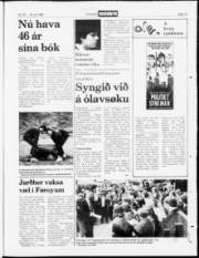 Síða 19