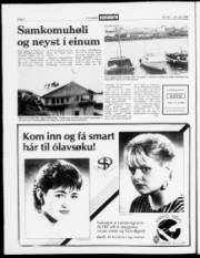 Síða 2
