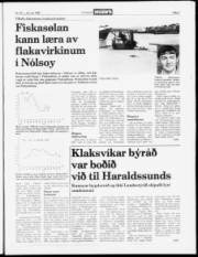 Síða 3