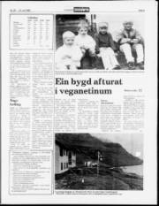 Síða 5