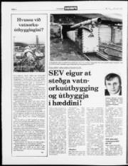 Síða 2