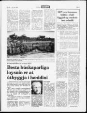 Síða 3