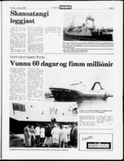 Síða 5