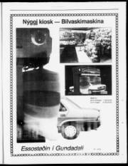 Síða 13
