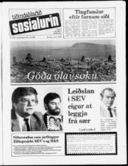 Síða 1