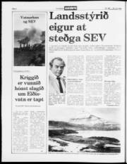 Síða 2