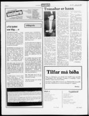 Síða 6