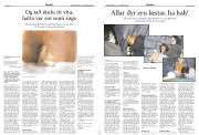 Síða 13