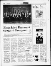 Síða 19