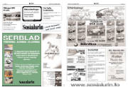 Síða 17