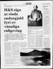 Síða 2