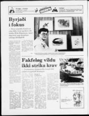 Síða 20