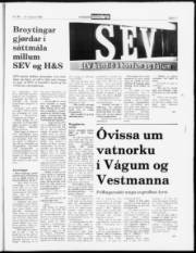 Síða 11